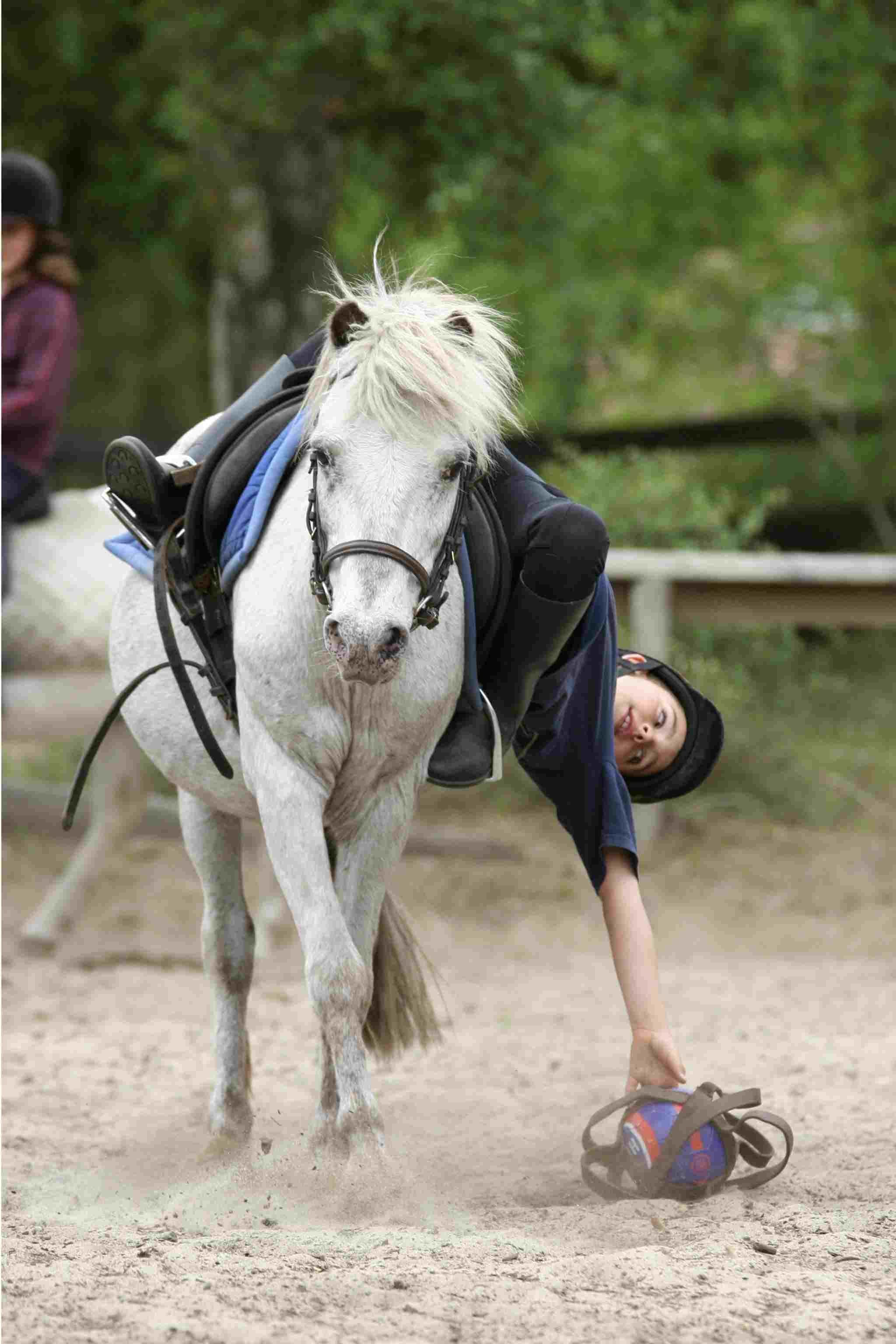 Le trec