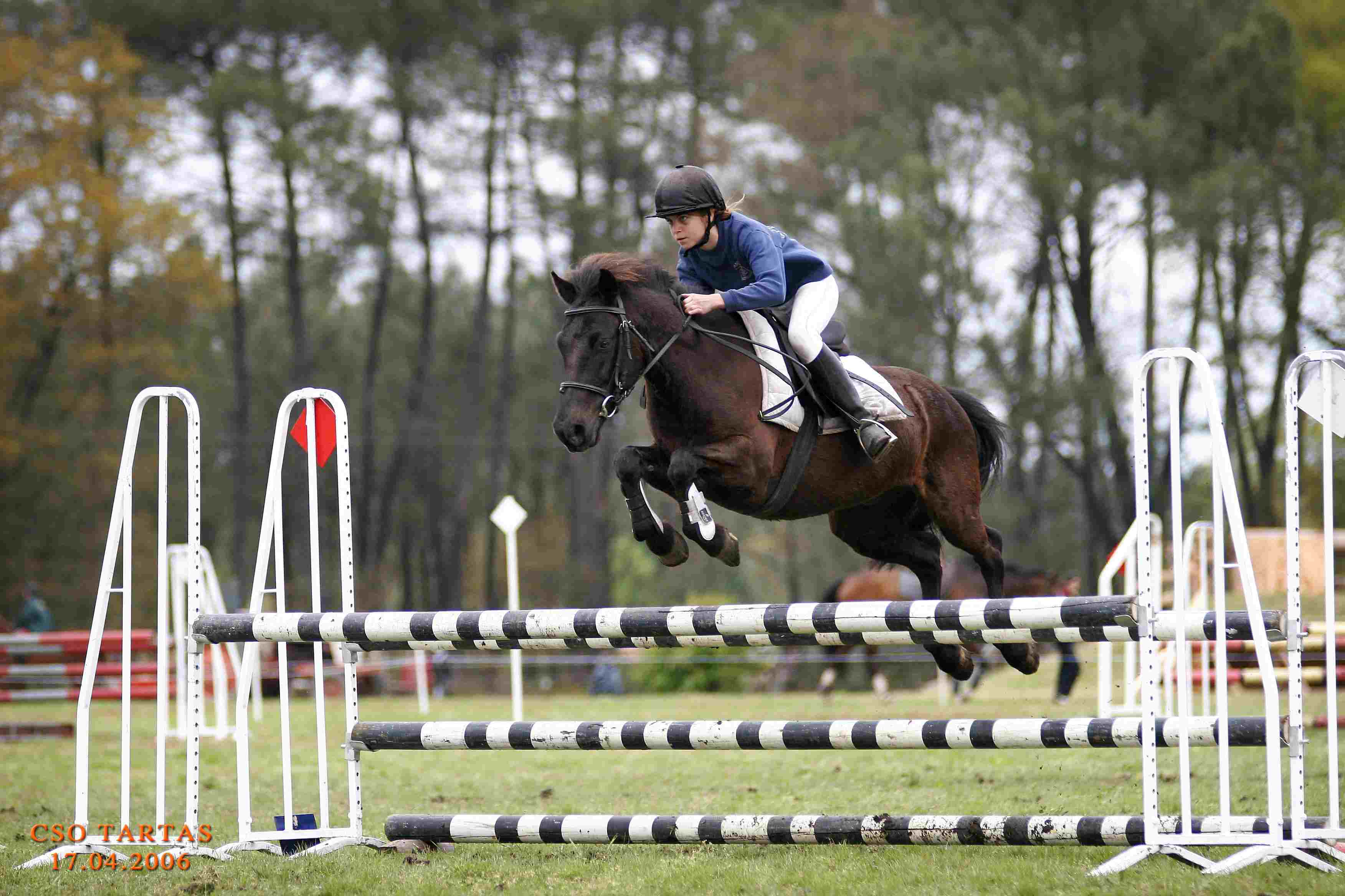 Equitation de comp&eacute;tition